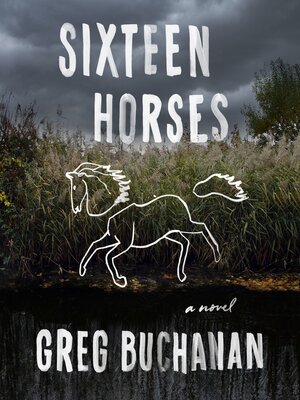 cover image of Sixteen Horses